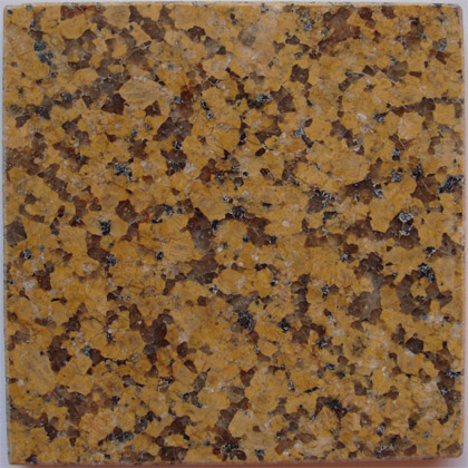 Chrysanthemum Yellow