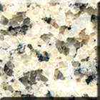 New Chrysanthemum Yellow