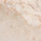 Amasa Beige