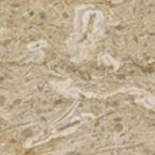 French Beige