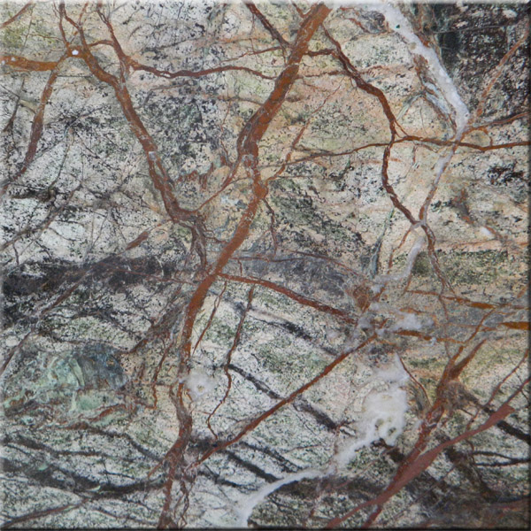Rainforest Brown