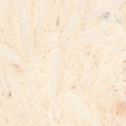 Sahara Beige
