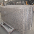 Chrysanthemum Yellow