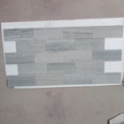 Green Vein Grey Wood