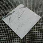 Italy Statuario Marble