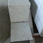 White Bianco Carrara